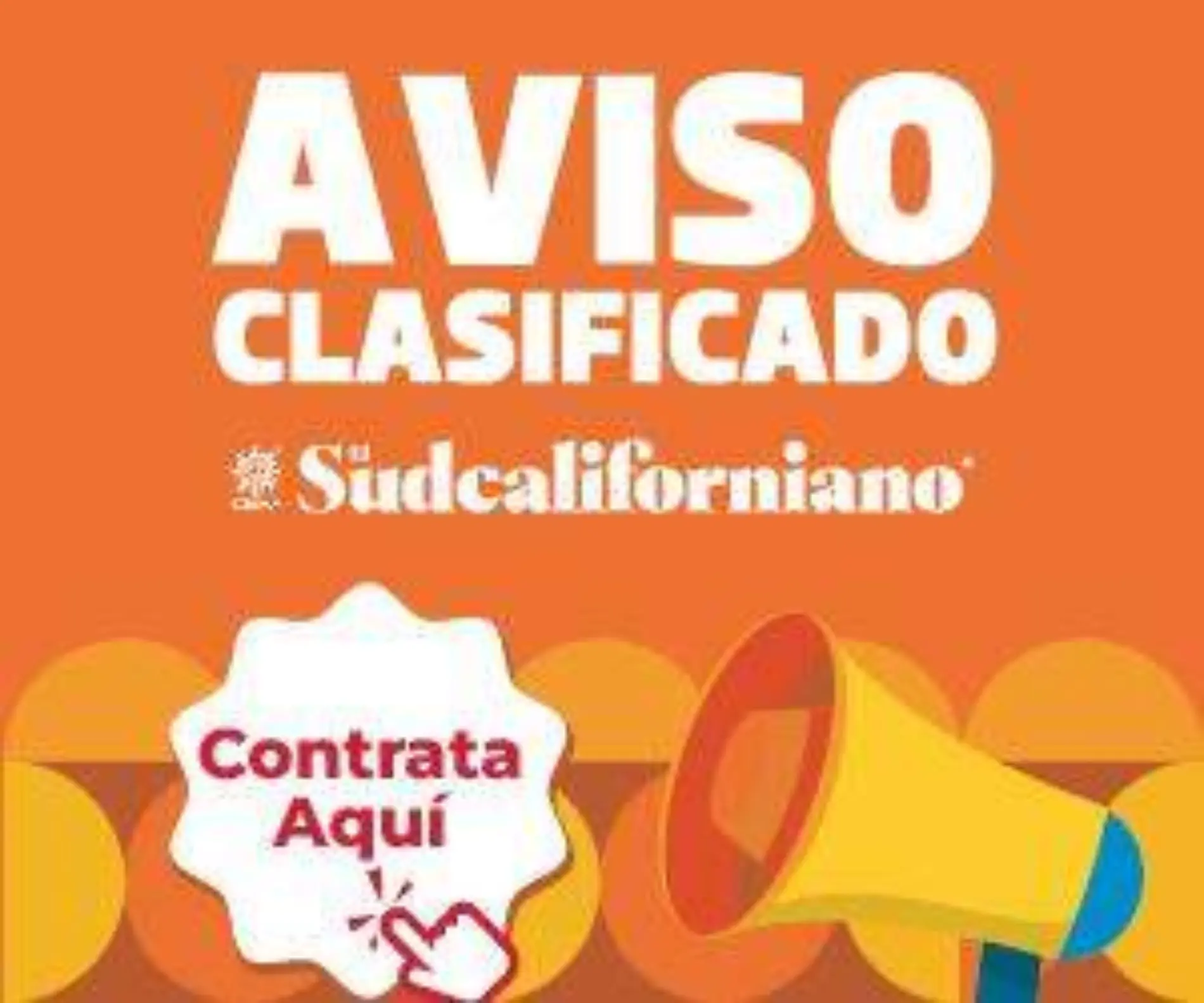 BOX BANNER CLASIFICADO EN LINEA-ELSUDCALIFORNIANO-03